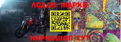 стаф Краснодар