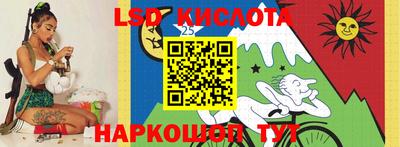 стаф Краснодар