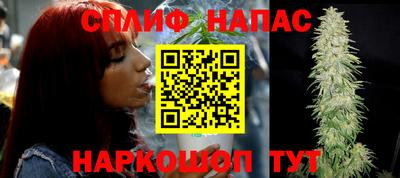 стаф Краснодар