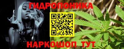 стаф Краснодар
